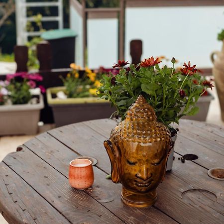 Shiva Home 阿尔卡莫 外观 照片
